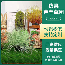 �������[�݈F�b��쾰����̦���쾰�[������ֲ��ݾGֲ���JȔ��