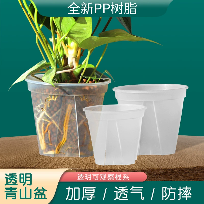 Крыло зеленый утолщенный новый прозрачный зеленый горный бассейн корневой контроль бассейна завод оптом розово-зеленая редька пластиковый цветочный горшок галлон круглый