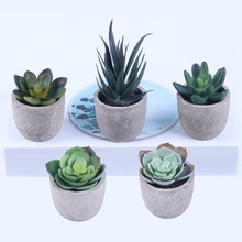 仿真多肉植物纸浆盆栽 5PCS/set 仿真多肉盆栽植物 ES0853-1桌面