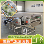 全自动净菜气泡清洗机大型洗菜机中央厨房加工流水线果蔬清洗设备
