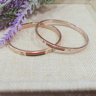 Titanium Steel Red Green Strip Bangle Fashion Hand Jewelry Electroplating 14K Gold Color Hand Jewelry Popular Jewelry Dropship