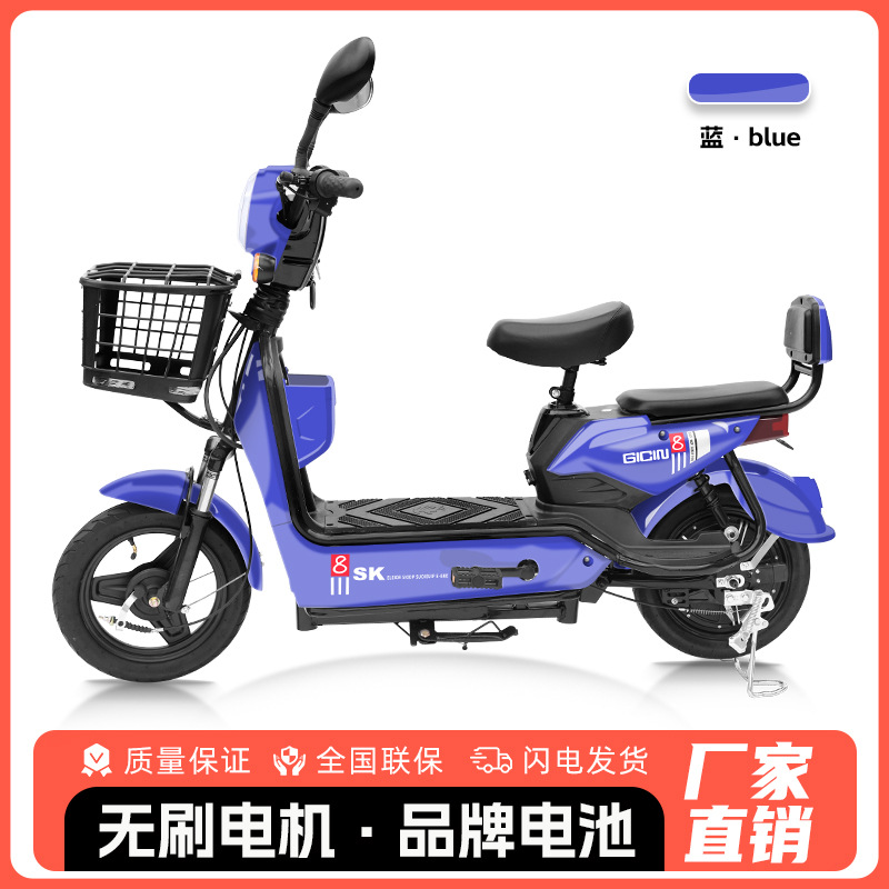 Bicicleta Eléctrica Golden Eagle para Comercio Exterior al por Mayor, Scooter Eléctrico para Adultos de Dos Plazas, Vehículo Eléctrico Ligero de Dos Ruedas con Batería de Larga Duración.