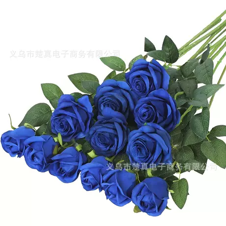 Royal blue