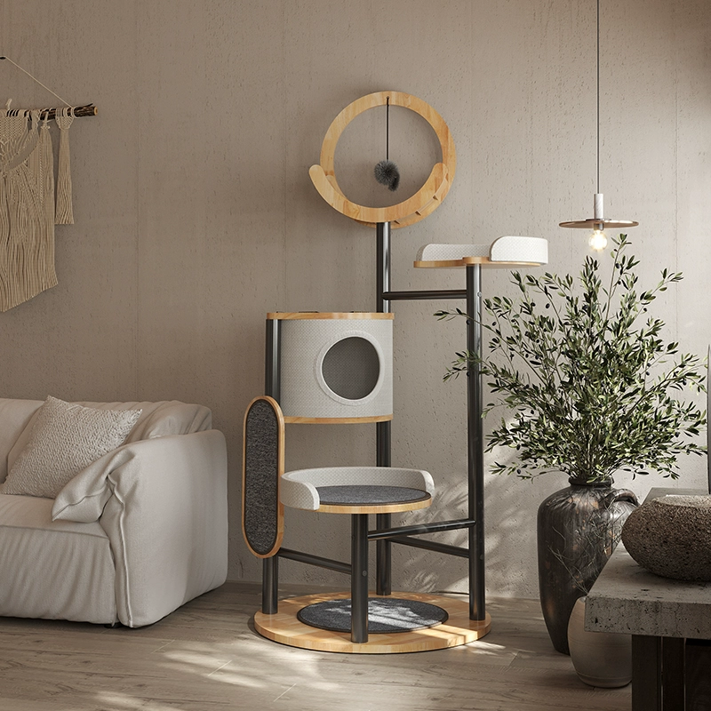 Мяу похвалил кошачью скалолазную подрамку