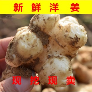 �F��Ұ�������r5��Ұ���ӽ������r���߲��ݲ���˾���N����