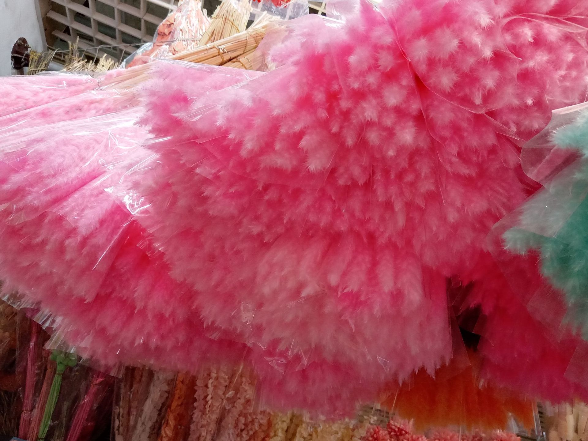 微信图片_202303291539372