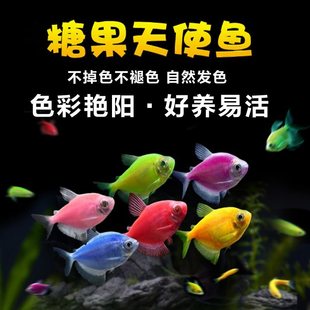 ��̖��ʹ�~�Ꭷ�^�p�~Ⱥ��С���~���B�ͻ���~��ɫС�~�����~