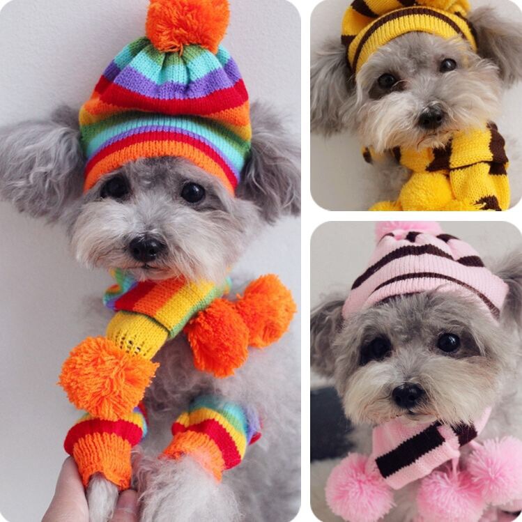 Dog Hat Pet Three-Piece Scarf Foot Set Rainbow Teddy Cat Cute One-Piece Hair Clothing Puppy