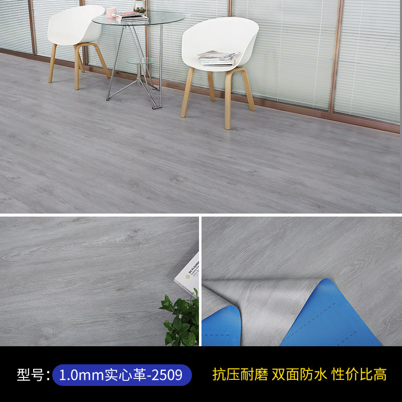 1.0 단단한 가죽 [2509]]