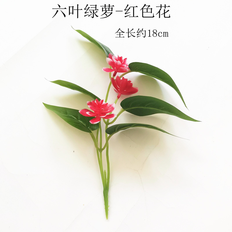 【六叶绿萝-红色花】.jpg