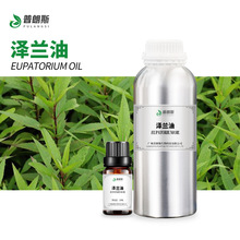 厂家直供泽兰油现货 地笋油植物单方按摩油医药化妆日化原料供