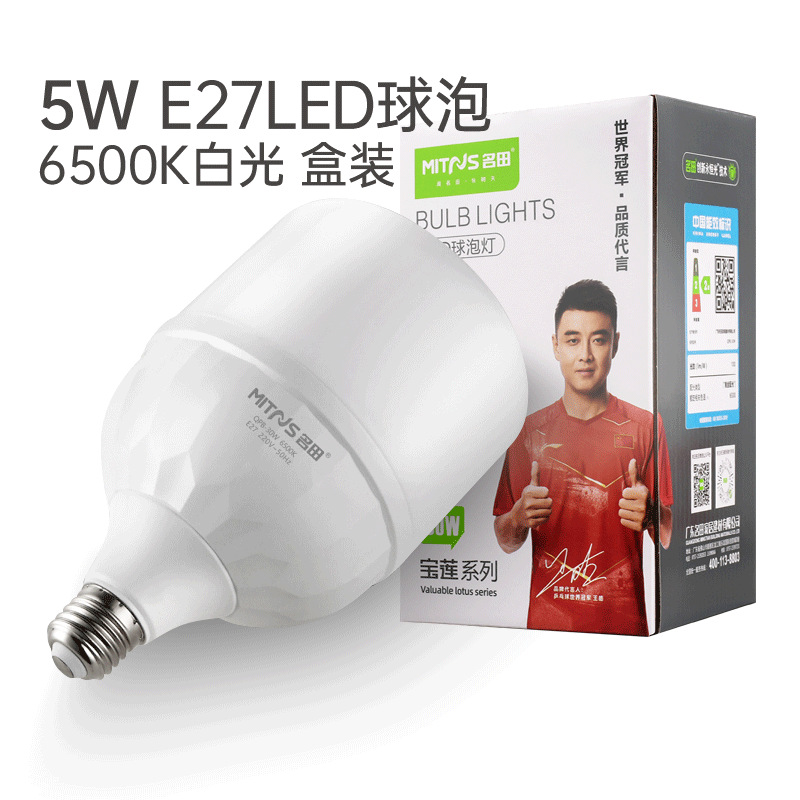 Bulbo del LED (luz blanca 5W)