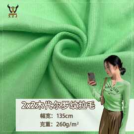 现货 2*2木代尔罗纹拉毛人棉拉架T恤休闲服内衣家居服装针织面料