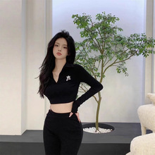 设计感小众上衣女ins早秋独特别致Polo领洋气短款露脐刺绣长袖T恤