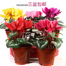 �ɿ́��辰�ٻ��c���̨�͏d�ҕ���b��҃��軨�[�O���Ҕ[�Ž���