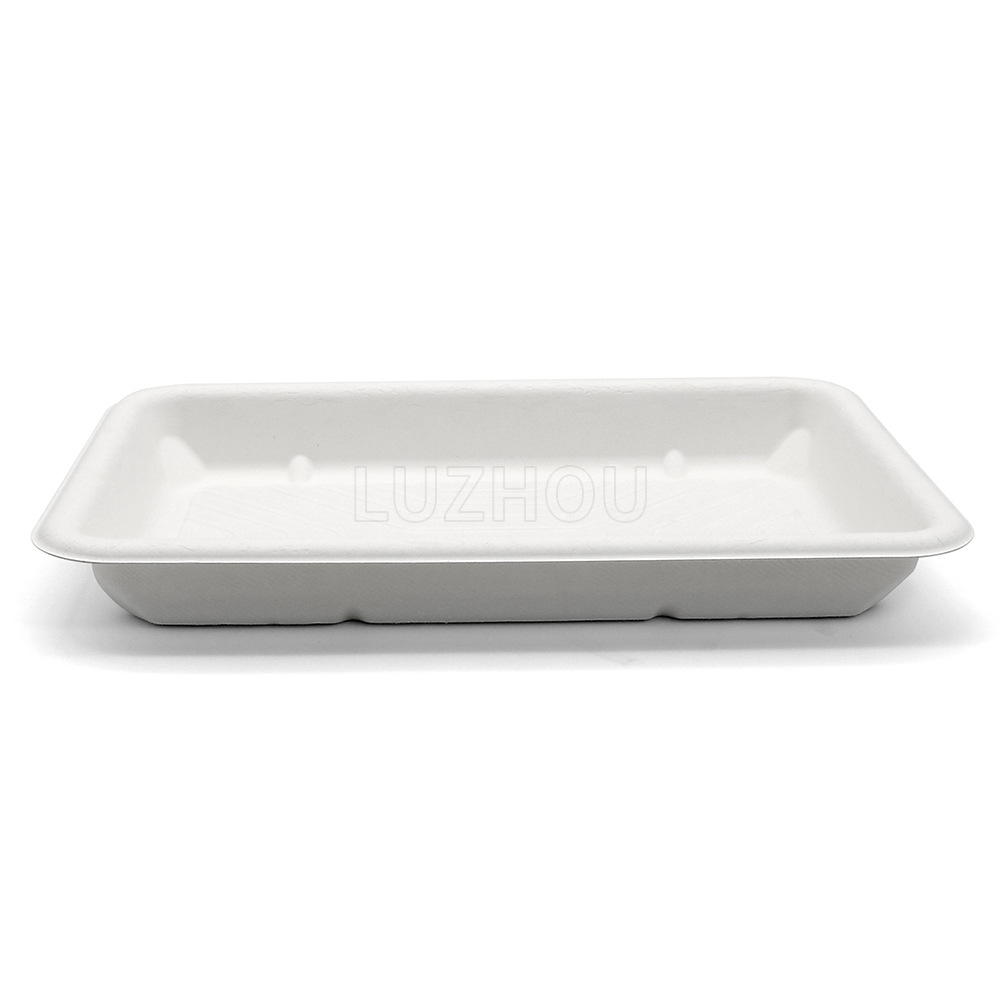 Bandeja desechable biodegradable y ecológica Shaoneng Oasis BL01 hecha de fibra de caña de azúcar, portátil y saludable.