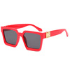 Fashionable trend sunglasses, retro glasses, suitable for import, European style