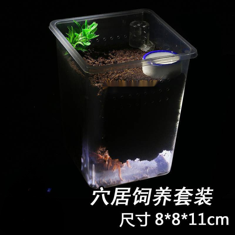 专业爬宠饲养盒爬虫人渣盒大中小号树栖盒小方盒蜘蛛双开防越狱|undefined