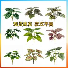 ins���ⱱ�W�L���~���������~ ���~�廨�Gֲ�����յ��߼Ҿ��b�Ʒ