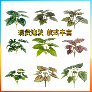 ins���ⱱ�W�L���~���������~ ���~�廨�Gֲ�����յ��߼Ҿ��b�Ʒ