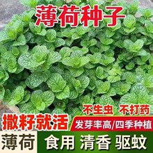 ���ɷN�ӿ�ʳ�Ù�������x�ļ��҃���ͥԺ�̨����