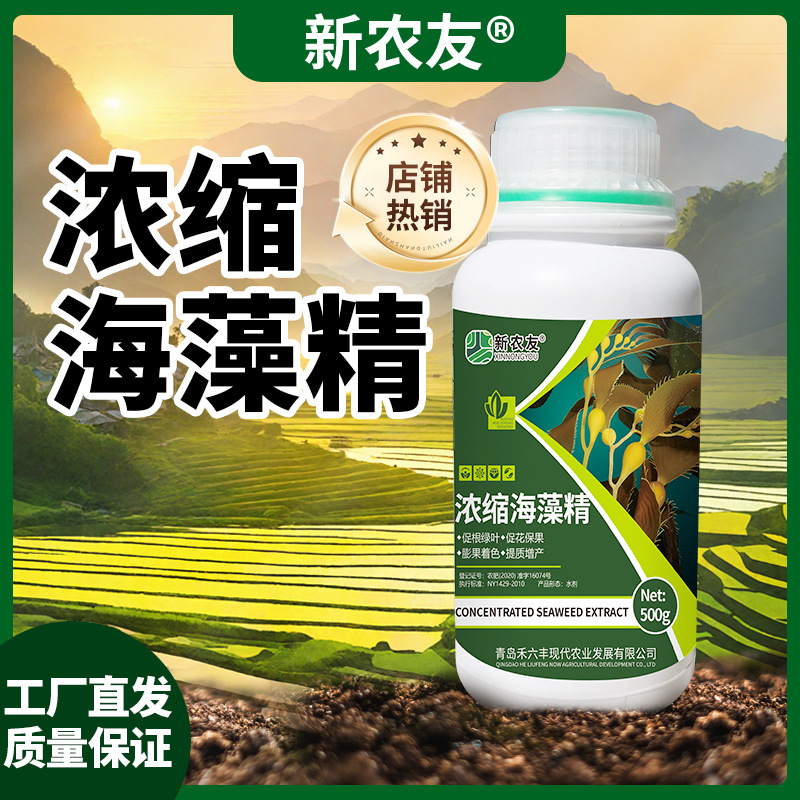 浓缩海藻精生根壮苗促果开花调节土壤补充多种营养元素大田都通用