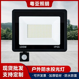 投光灯;路灯;太阳能灯