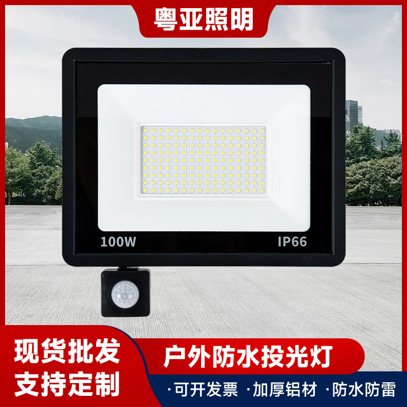 Small apple induction flood light 10W50W100W full power led garden light wholesale outdoor waterproof flood light