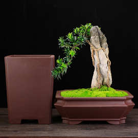 宜兴紫砂花盆高四方大号马槽长方阳台种菜悬崖榕树松柏盆景盆批发