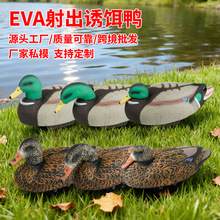 �¿�EVA����l�����^�ɲ�ж�T�D�����@���b������ӬF؛�羳