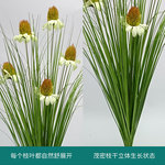 仿真剌果花柄草 仿真狗尾巴把束  仿真芦苇草 洋葱草  客厅摆件干