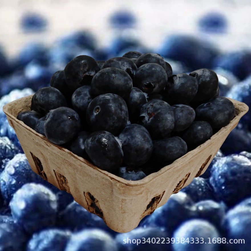 Биоразлагаемый лоток для свежих продуктов, упаковка для фруктов, бумажная и пластиковая упаковка, коробка для фруктов и овощей, лоток для черники, лоток для фруктов из целлюлозы