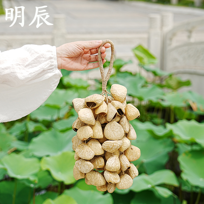 手摇铃印尼黑果pingji（4*15颗）手工果壳印尼进口果实声音疗愈|undefined
