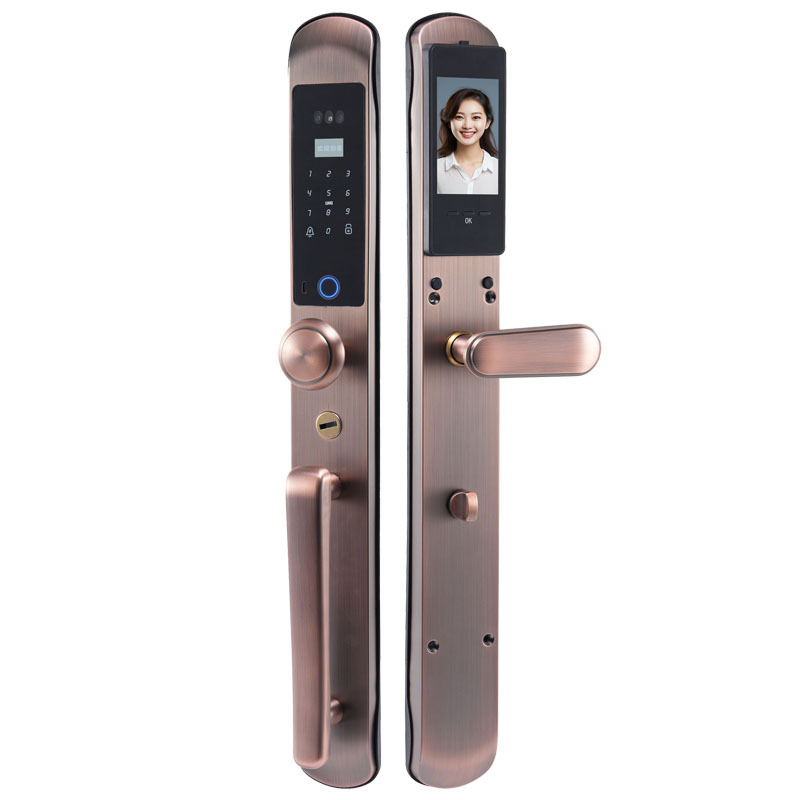 Cerradura con huella digital para puertas de casa, puertas principales de villas, cerradura inteligente de hierro forjado para exteriores, cerradura inteligente con reconocimiento facial y contraseña, modelo mejorado.