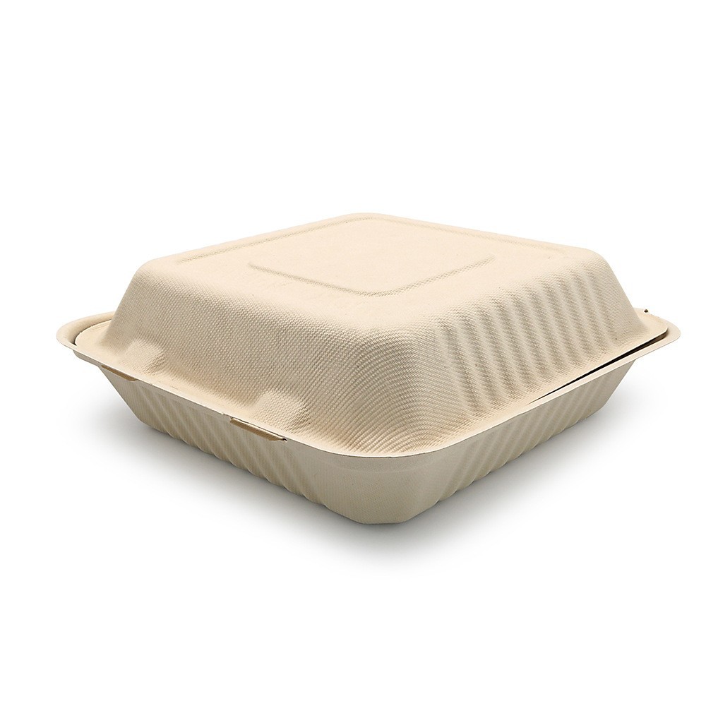 9 pulgadas de pulpa de bambú compostable biodegradable sin caja de comidas de grado alimenticio caja de bloqueo ecológica cubierta desechable