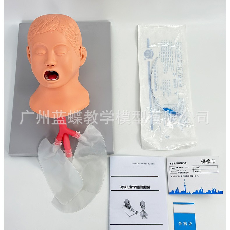 �߼���ͯ���ܲ��ģ�� ���׻��� ����ģ�� ���׼���ѵ��ģ��15/3