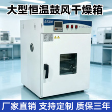 实验室鼓风干燥箱小型高温烘箱工业烤箱药材器械烘干箱老化试验箱