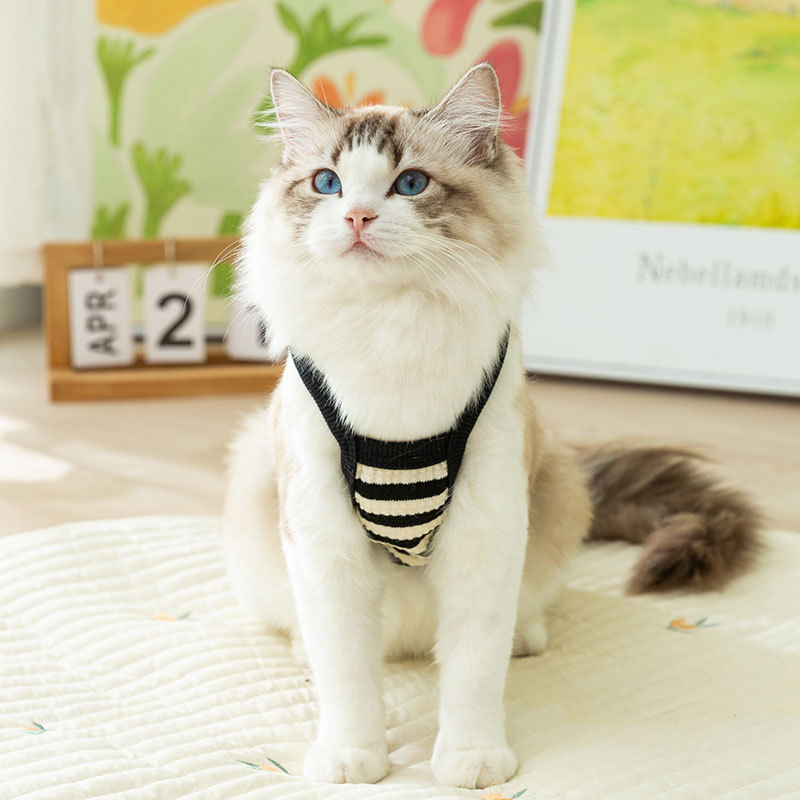 Gato Verano simple rayado tracción Sling perro verano Delgado estilo coreano carta mascota ropa de perro de dos patas