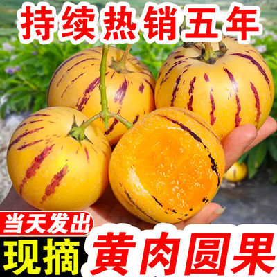 Boutique Yunnan Stone forest Ginseng fruit fresh Season fruit life wholesale market