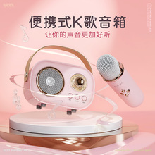 新品C20迷你蓝牙K歌音箱家庭户外娱乐无线麦克风音响跨境零售批发