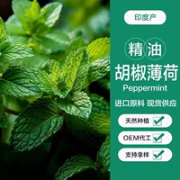 Эфирное масло мяты в индийском регионе ароматерапия Эфирное масло для лица Эфирное масло для массажа