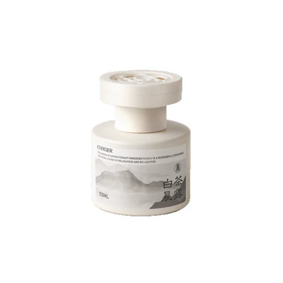 Freshener Odor Removal Car Perfume | Car Perfume Aromatherapy