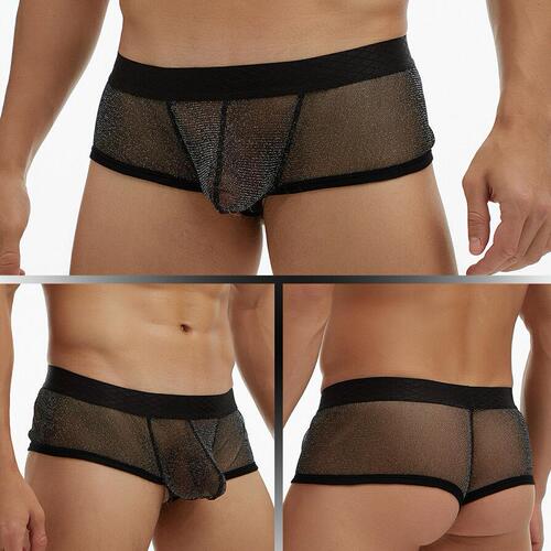 European and American foreign trade GAY men's underwear see-through fine mesh pouch low-waisted wide-brimmed boxer briefs large size E076