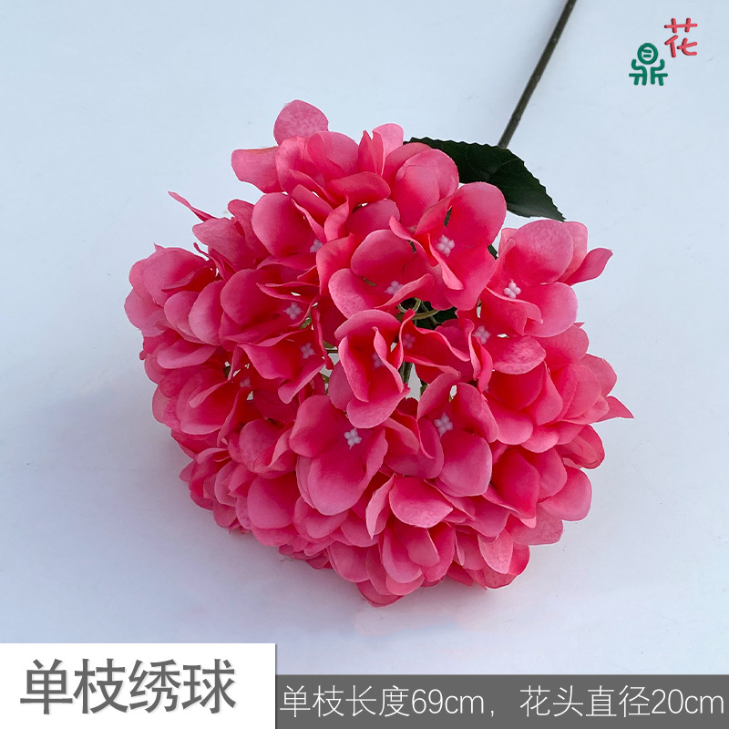 Single stroke LS rose red