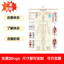 现货体态评估表瑜伽健身私教体位姿势体测身体表挂式网格