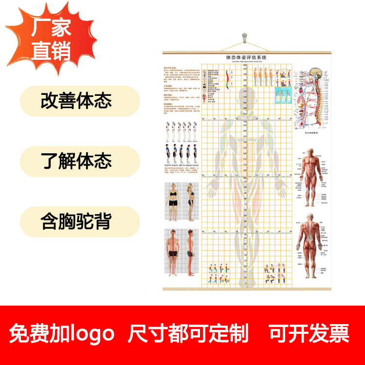 现货体态评估表瑜伽健身私教体位姿势体测身体表挂式网格