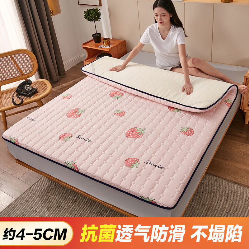 핑크 딸기 [*미끄럼 방지, 내마모성 및 내구성 4CM*]
