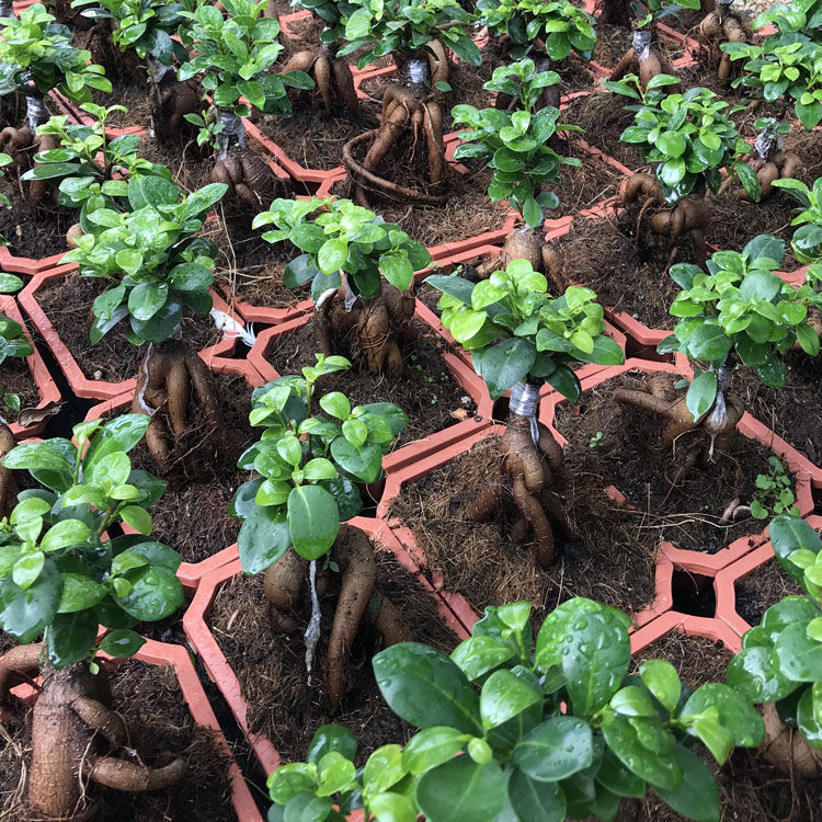 18d43188-fc0c-466b-8974-3d3374d073c0.jpe