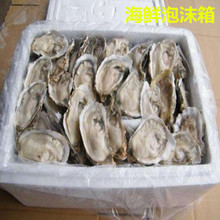 ��ĭ���]��5���з�亣�r��ĭ����w�~���Ӵ�̖���~���̖���f��