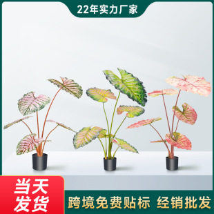 �羳��������ֲ���ɫ���^�͏d�k������ر��W�L�Gɫ���^���ԾGֲ